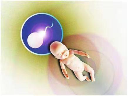 培养箱